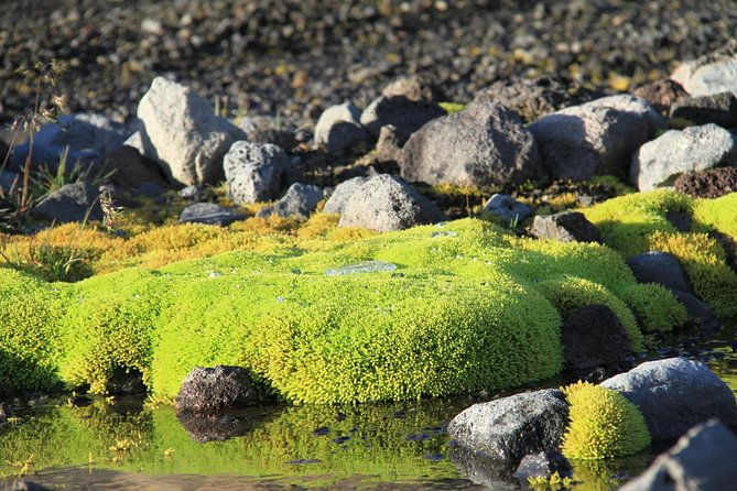 highlights-of-iceland-private-guided-super-jeep-tour