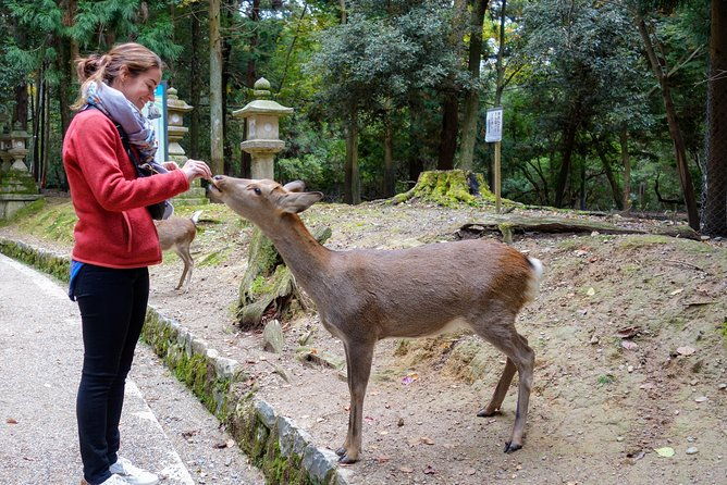 highlights-of-japan-tour-10-day-small-group