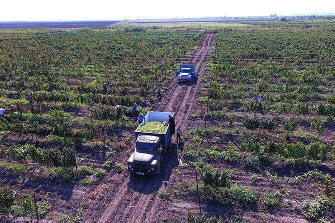 highlights-of-kakheti-region-signagibodbewine-tastingprivate-tour-2