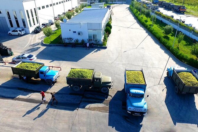 highlights-of-kakheti-region-signagibodbewine-tastingprivate-tour-2