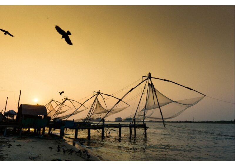 Highlights of Kochi, Guided Half-Day Tour by Car - Why This Tour Works for Travelers