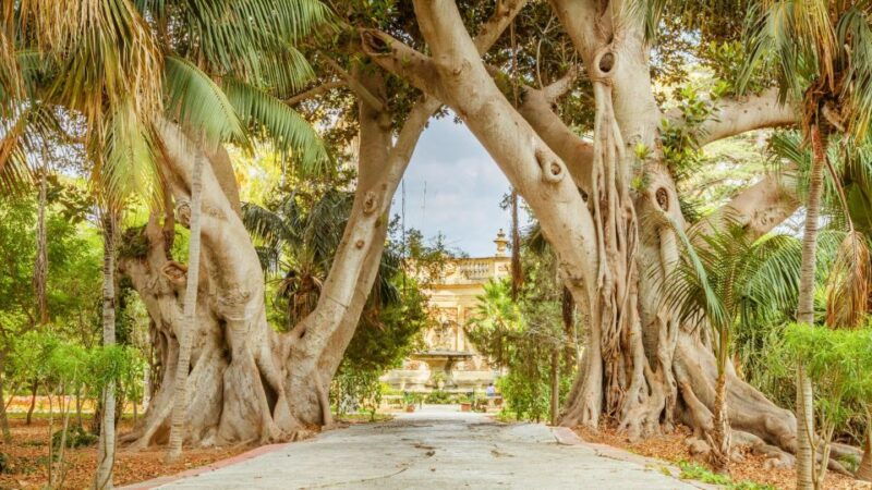 highlights-of-malta-touricons-and-experiences-of-the-island