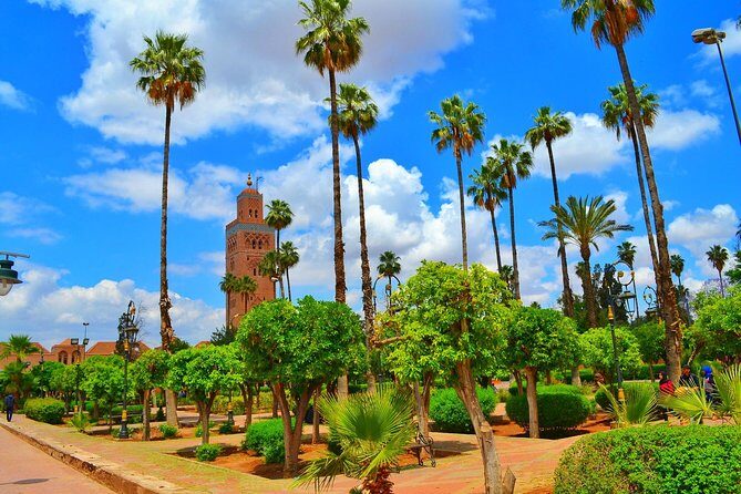 Highlights of Marrakech: Private Half-Day City Tour - Practical Tips for Your Tour