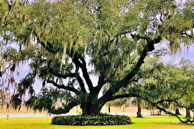 highlights-of-new-orleans-city-and-destrahan-plantation-tour