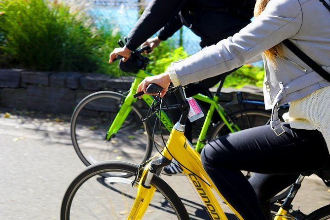 highlights-of-new-york-city-guided-bike-tour-english-or-dutch