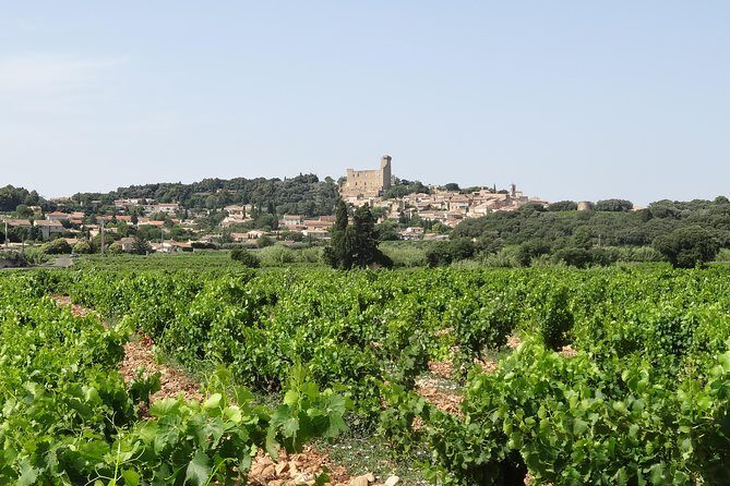 Highlights of Provence : Chateauneuf du Pape & Luberon - An In-Depth Look at the Tour