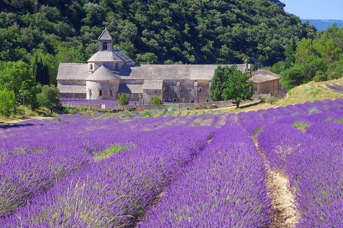 highlights-of-provence-in-one-day