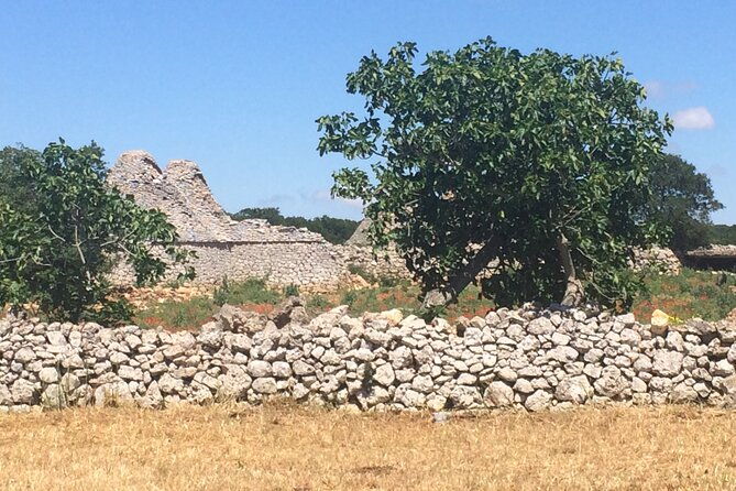 highlights-of-puglia-bari-alberobello-and-the-charming-villages