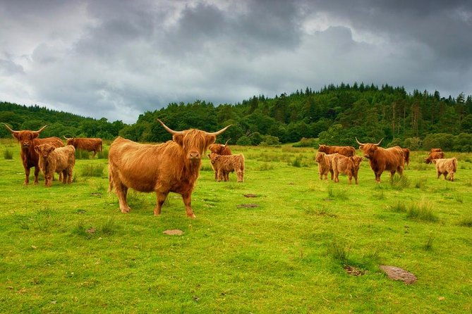 highlights-of-scotland-custom-private-tour-with-scottish-local