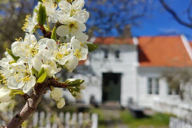 Highlights of the Region -City/Skudenes/Avaldsnes Guided Bustour - Introduction: What to Expect from This Karmøy Tour