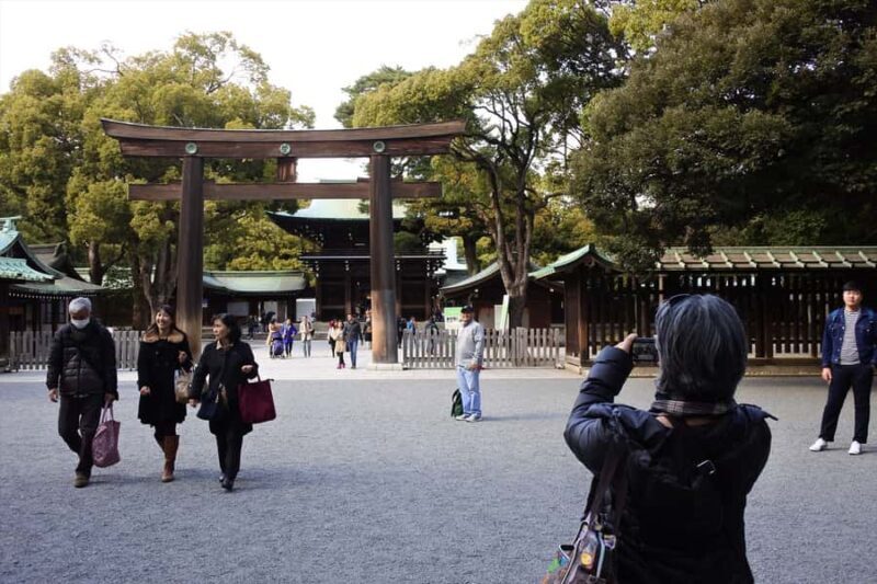 Highlights of Tokyo Private Tour with a professional Guide - The Sum Up