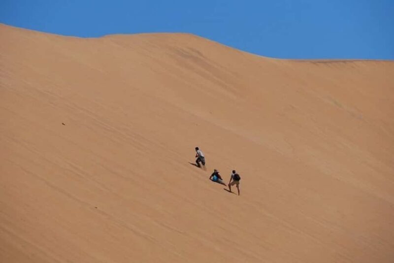 Highlights of Walvis Bay Private Tour - Key Points