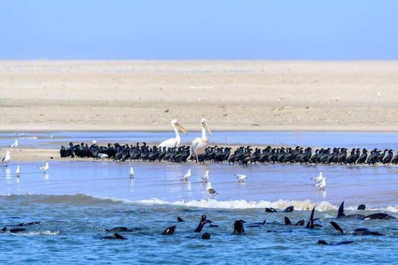 Highlights of Walvis Bay Private Tour - Exploring Walvis Bay: What You Can Expect
