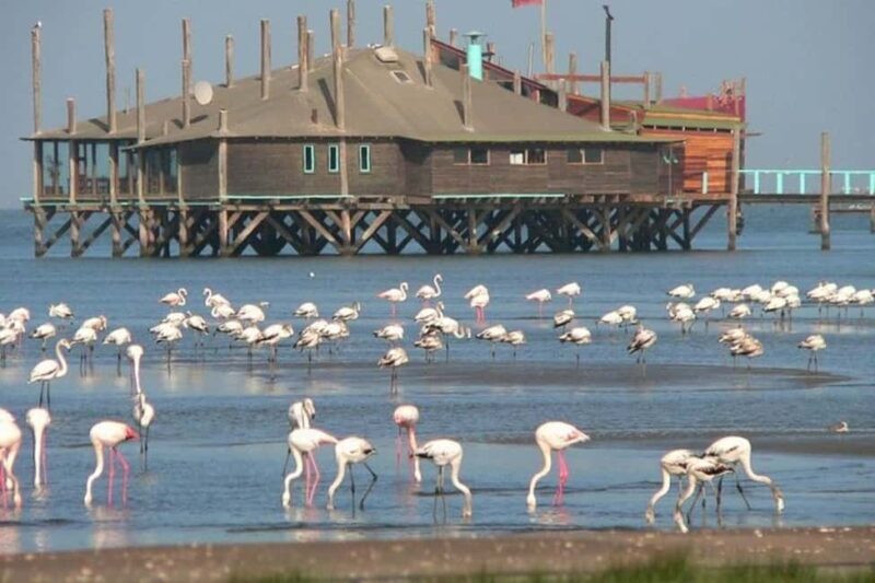 Highlights of Walvis Bay Private Tour - Additional Considerations