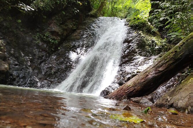 hike-10-waterfalls-in-jaco