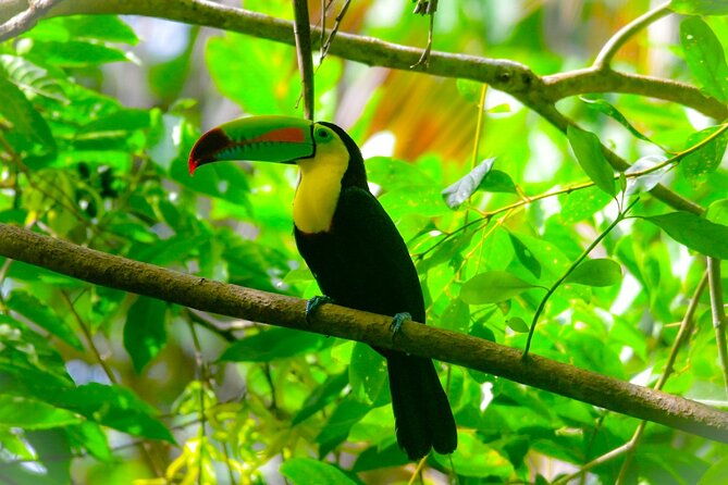hike-adventure-in-cahuita-national-park