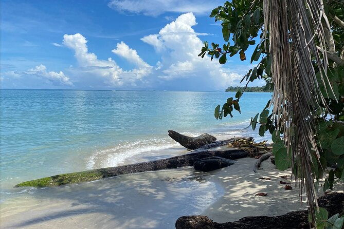 hike-adventure-in-cahuita-national-park