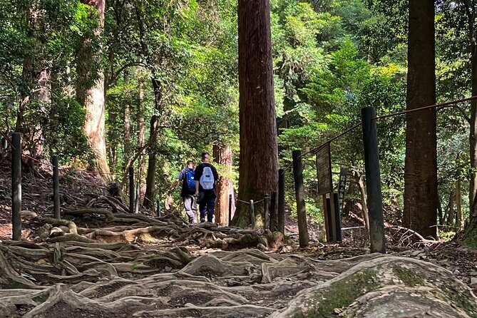Hike and explore the Kurama and Kibune ancient Paths - An In-Depth Look at the Kurama-Kibune Path Experience