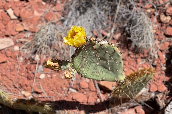 hike-and-heal-couples-relationship-in-sedona-healing-red-rocks