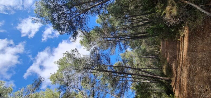 hike-and-swim-in-montenejos-thermal-springs