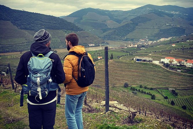 hike-at-douro-valley-w-winery-visit-and-tasting
