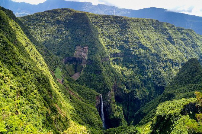 Hike: Bélouve Rainforest and Trou de Fer - Exploring the Bélouve Rainforest and Trou de Fer: A Guide to an Unforgettable Trek
