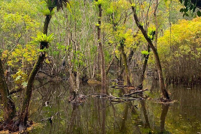 Hike, Bike, and Kayak Through the Heart of Cat Ba National Park - An In-Depth Look at the Tour Experience