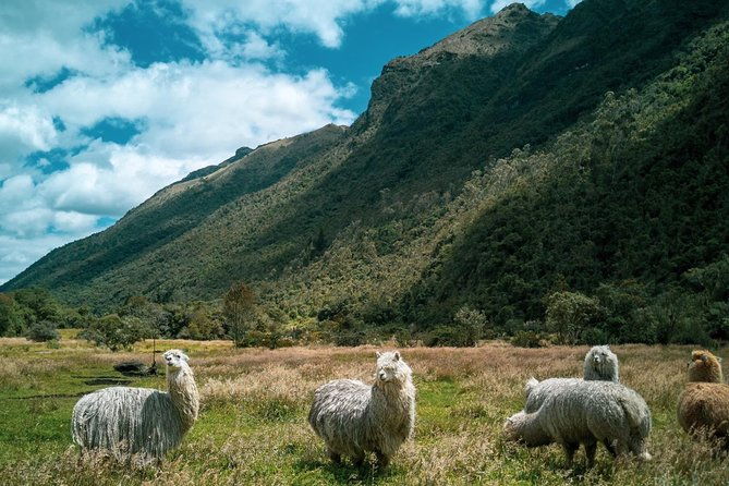 hike-el-cajas-beyond-the-common-trail
