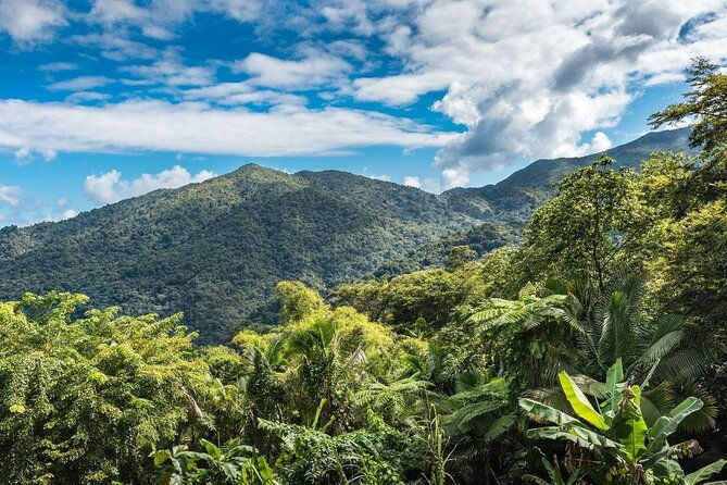 hike-el-yunque-rainforest-and-kayak-bio-bay-combo-tour