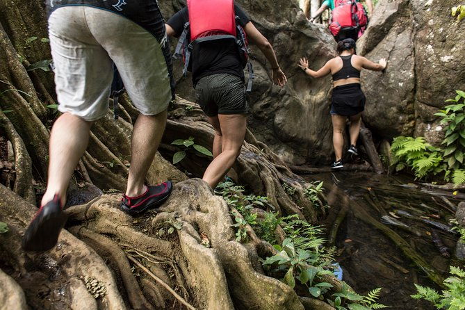 hike-el-yunque-rainforest-and-kayak-bio-bay-combo-tour