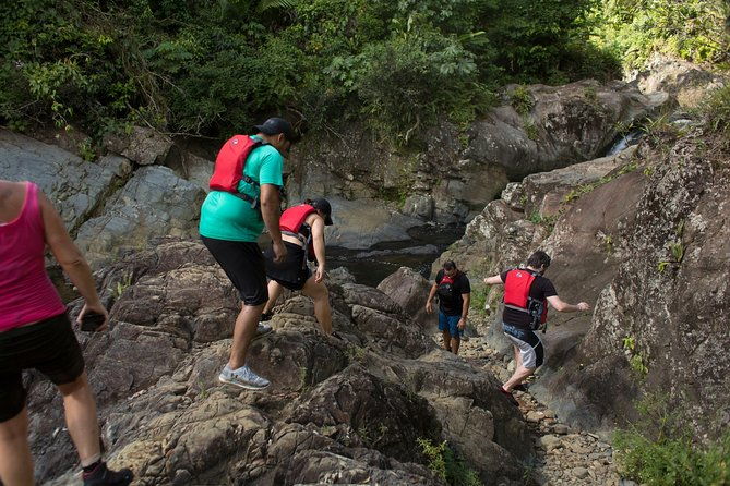hike-el-yunque-rainforest-and-kayak-bio-bay-combo-tour