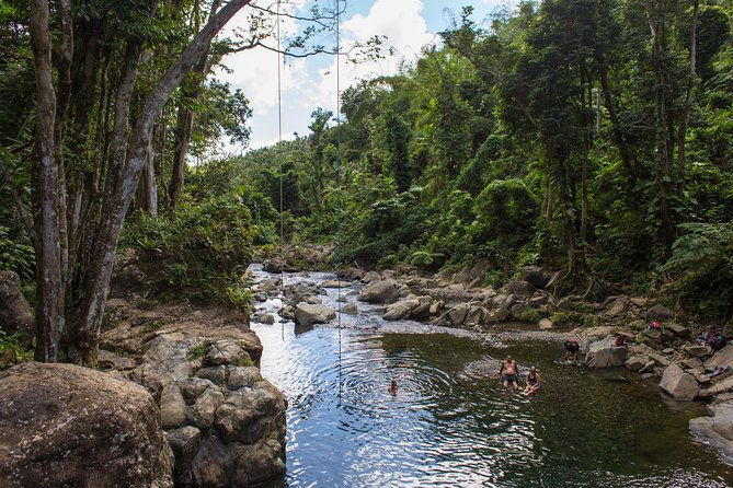 hike-el-yunque-rainforest-and-kayak-bio-bay-combo-tour