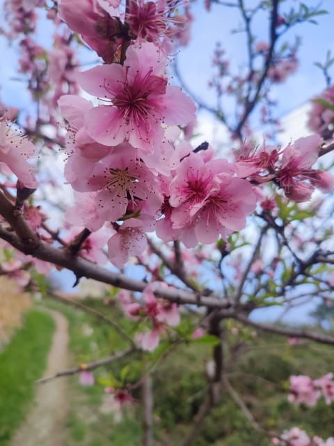 hike-from-varigotti-to-noli-the-pilgrims-path