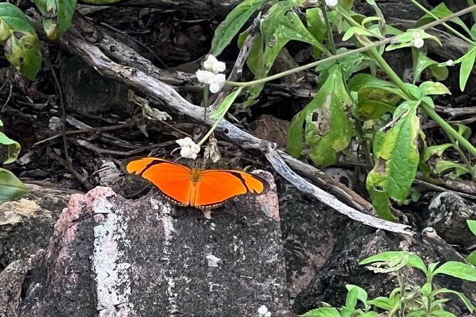 hike-goto-flamingo-meer-trail-explore-north-bonaire