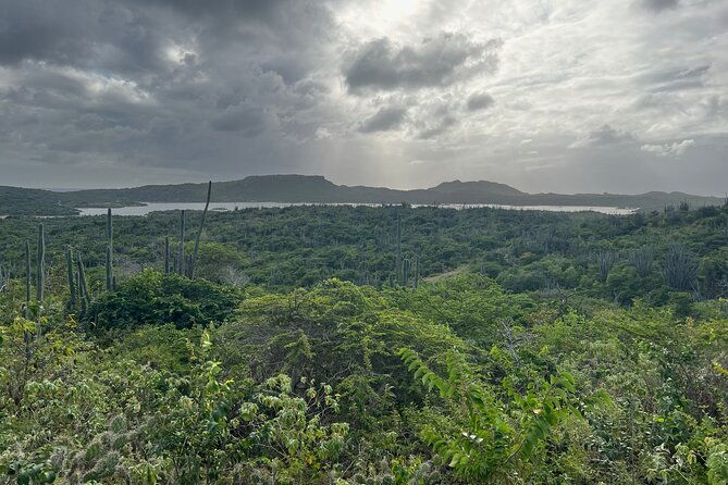 hike-goto-flamingo-meer-trail-explore-north-bonaire