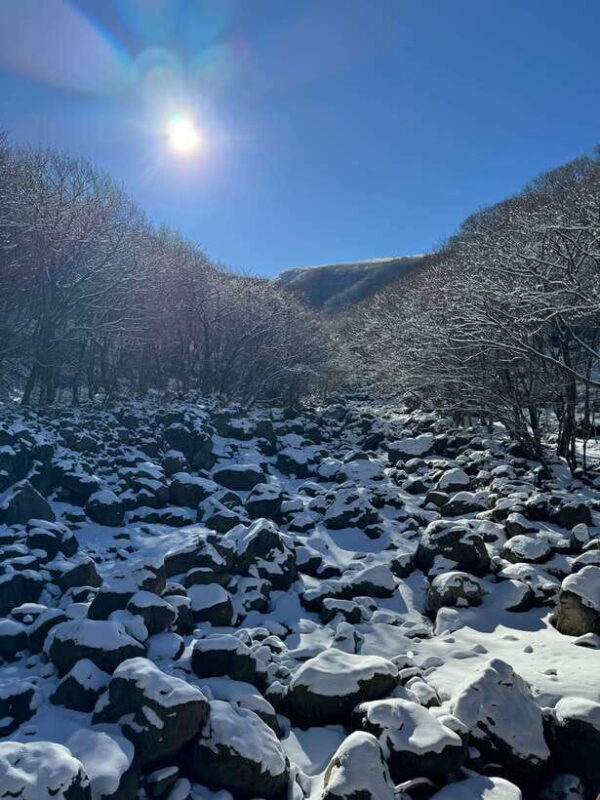 Hike Hallasan on Jeju Island, South Korea's highest mountain - The Sum Up