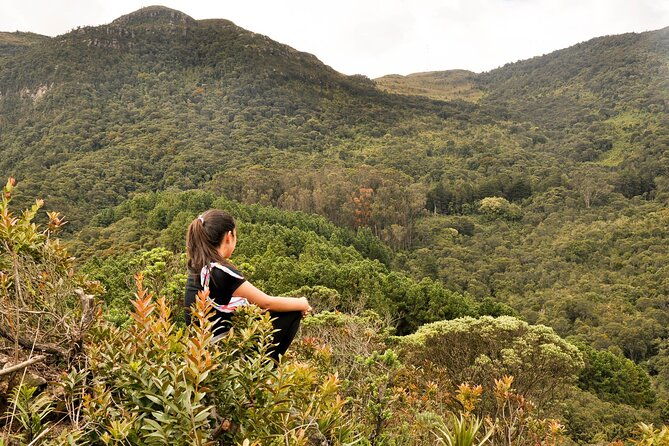 hike-in-bogotas-east-hills