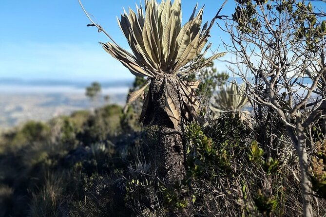 hike-in-bogotas-east-hills