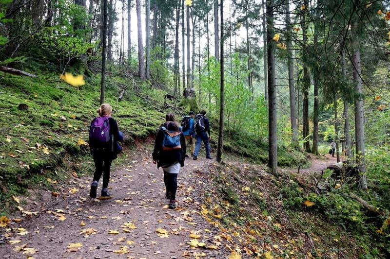 Hike In Gauja National Park - Sigulda - Exploring the Gauja National Park Hike: What to Expect