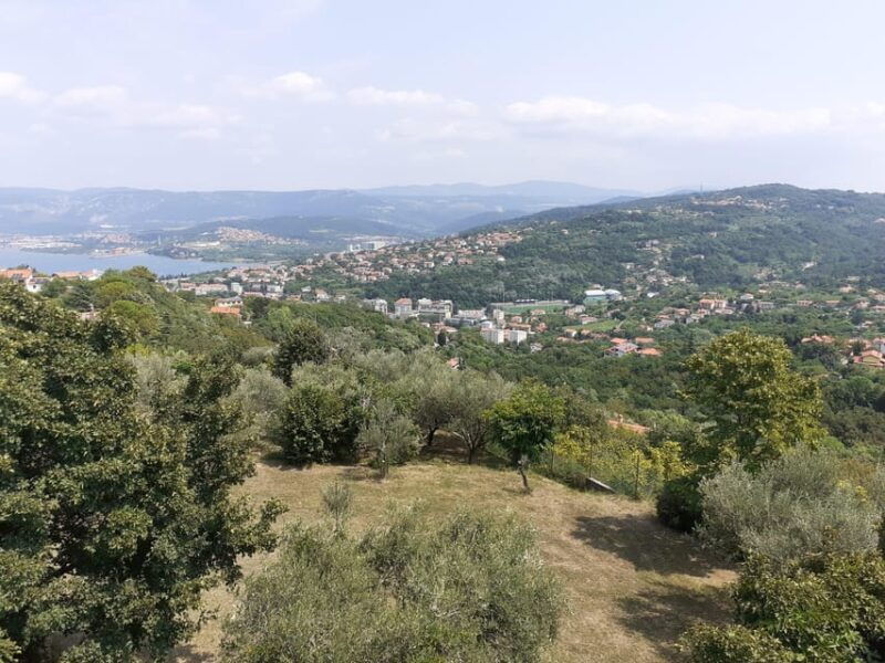 hike-in-muggia