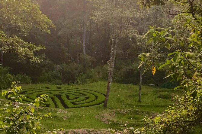 hike-in-pristine-forest-a-view-from-above-atitlan