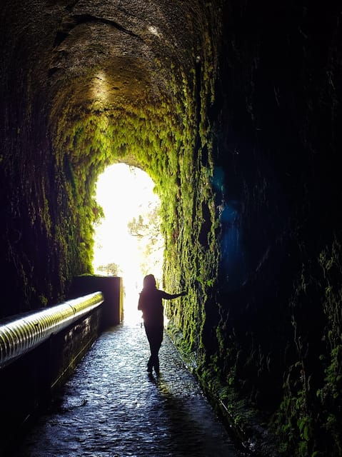 hike-in-rabacal-in-a-different-way