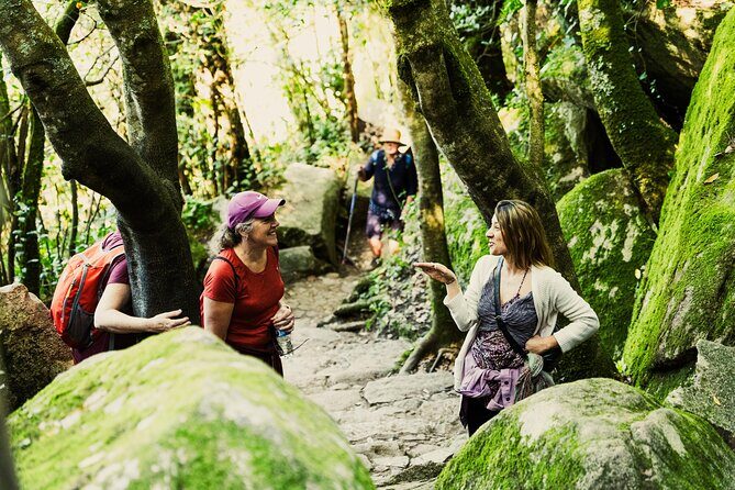 Hike in Sintra: Pena Palace, Moorish Castle, Quinta da Regaleira - The Value of the Price Point
