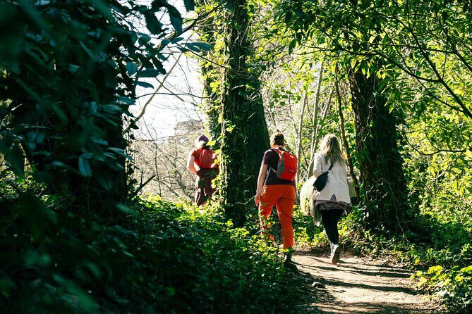 Hike in Sintra: Pena Palace, Moorish Castle, Quinta da Regaleira - Who Will Love This Tour?