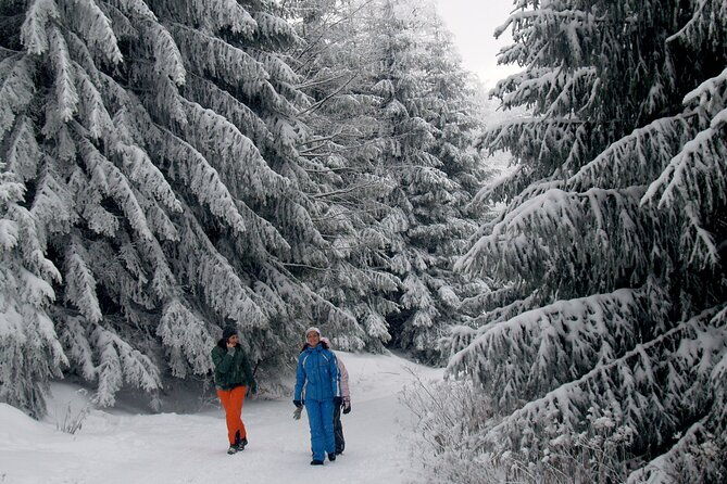 hike-in-the-central-balkan-national-park