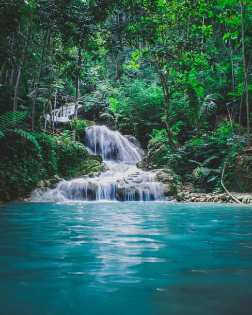 Hike in The Karura Forest - Introduction