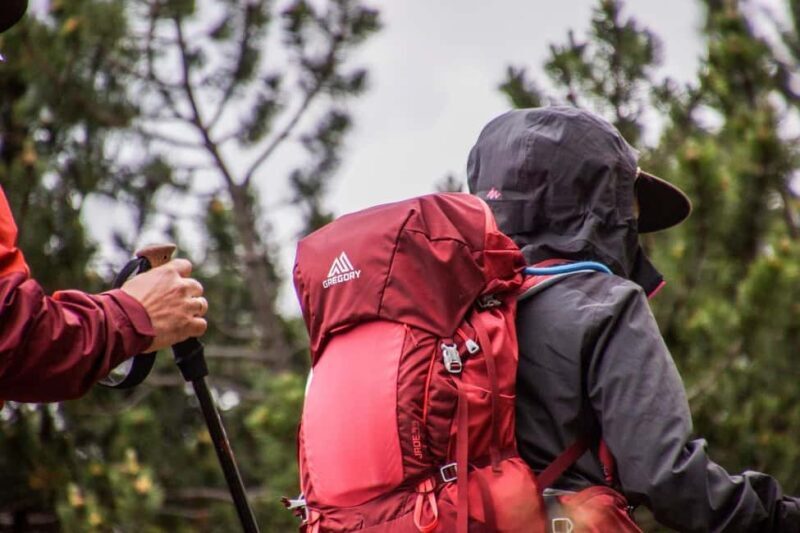 Hike in The Karura Forest - Key Points