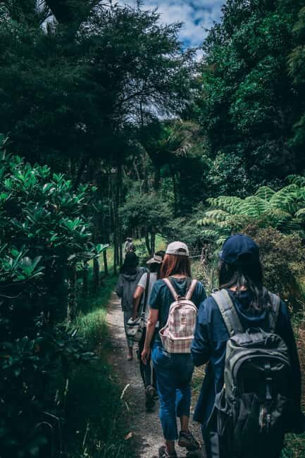 Hike in The Karura Forest - Price and Value