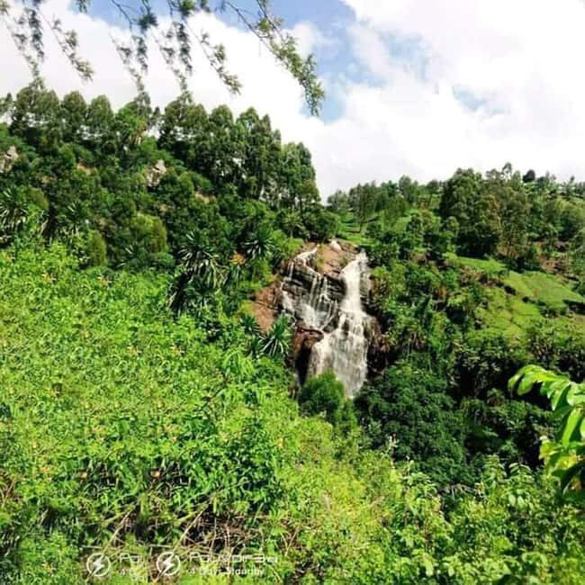 Hike in the Mazumbai forest - Key Points