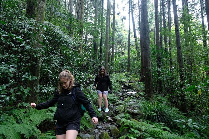hike-japan-heritage-hakone-hachiri-half-day